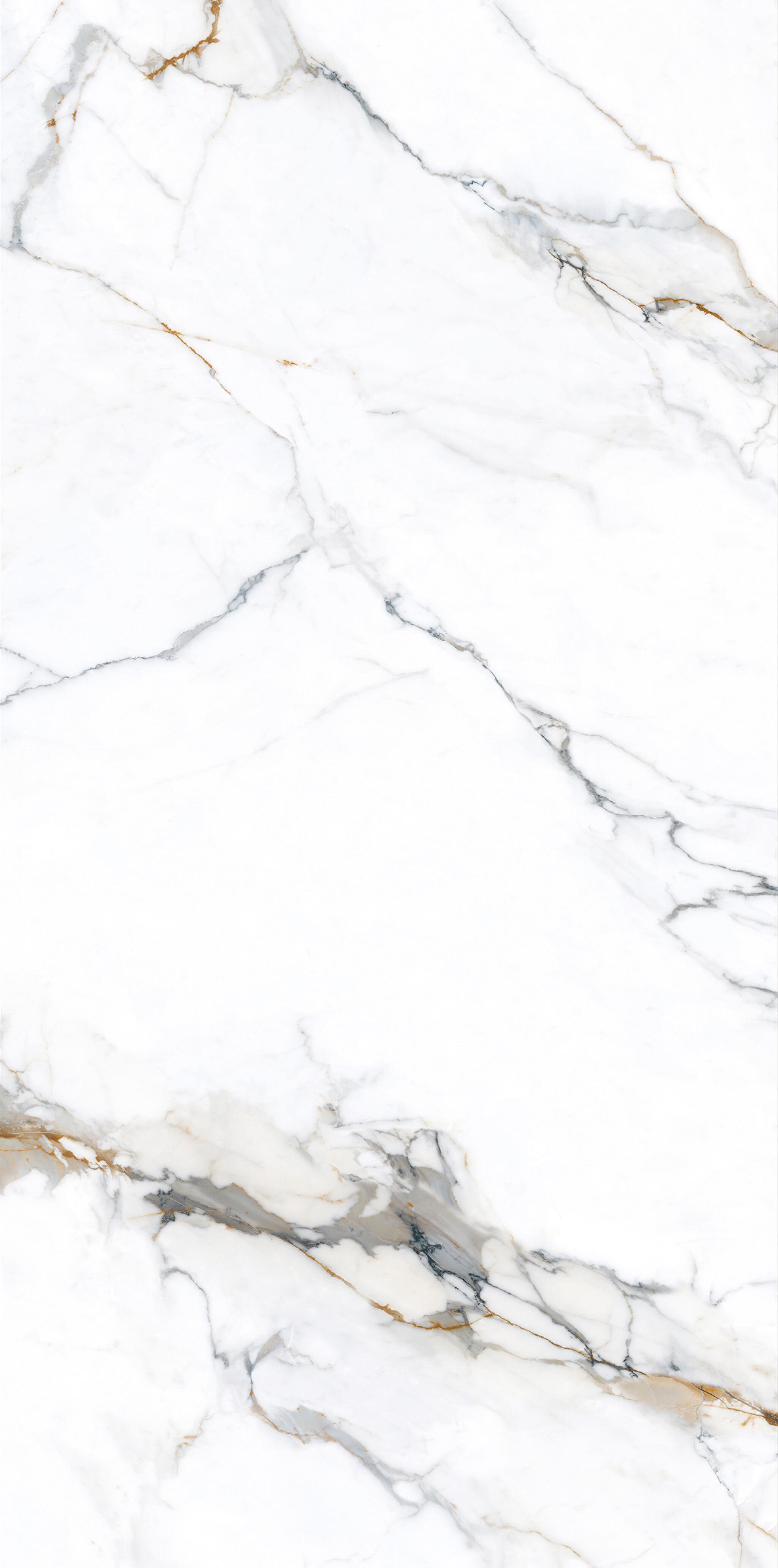 https://admin.eleganzaindonesia.com/storage/products/product_patterns/1727841007_ITALIAN CARRARA WHITE B.jpg